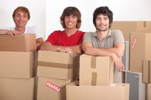 Professional Brixton man with van assisting with property move